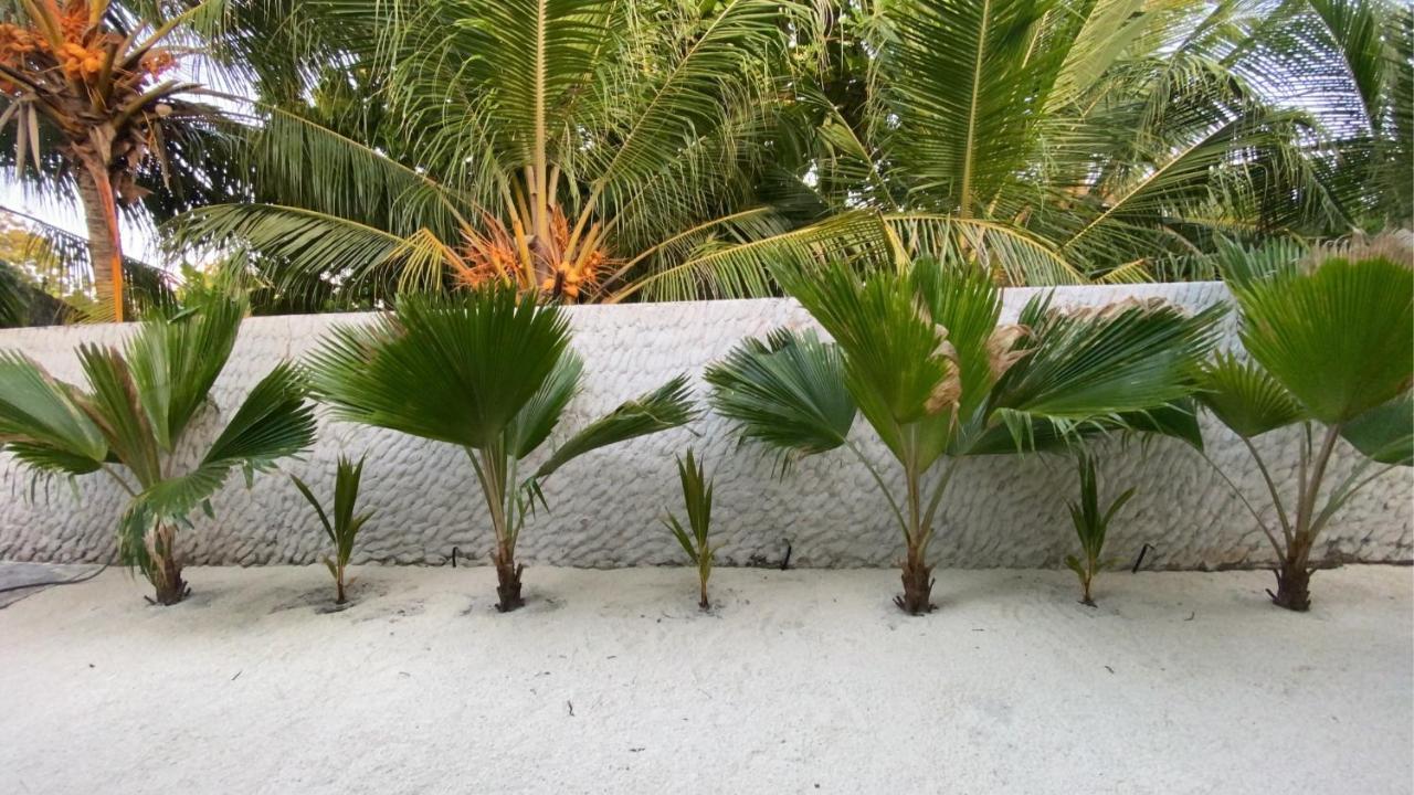 Oasis Village Fenfushi, Maldives Zewnętrze zdjęcie